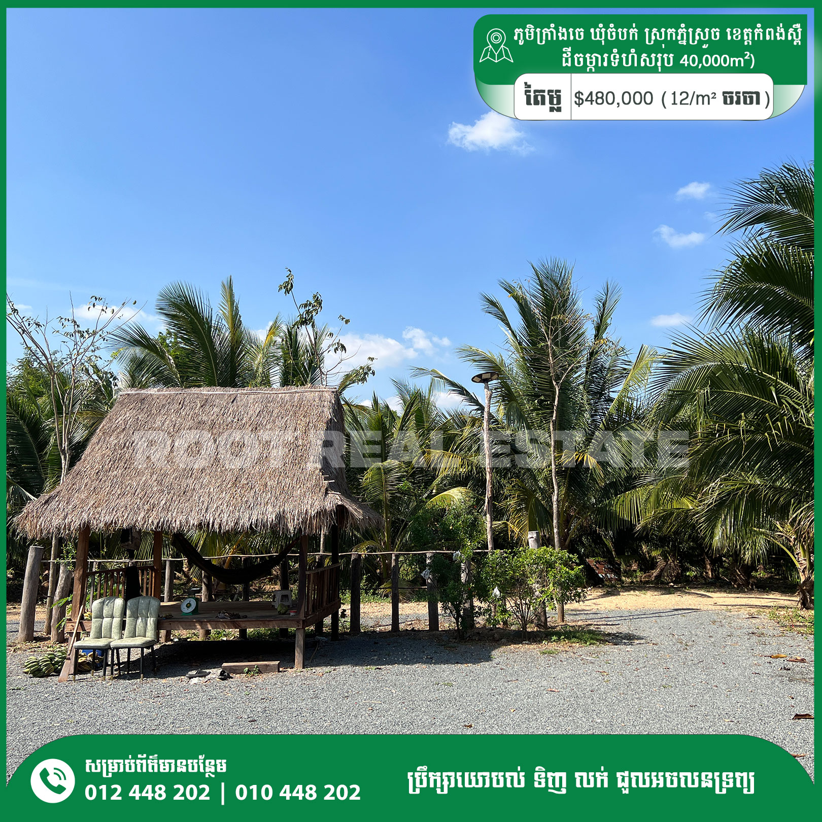 Kampong Speu - Coconut Farm For Sale (4Hecta Land)