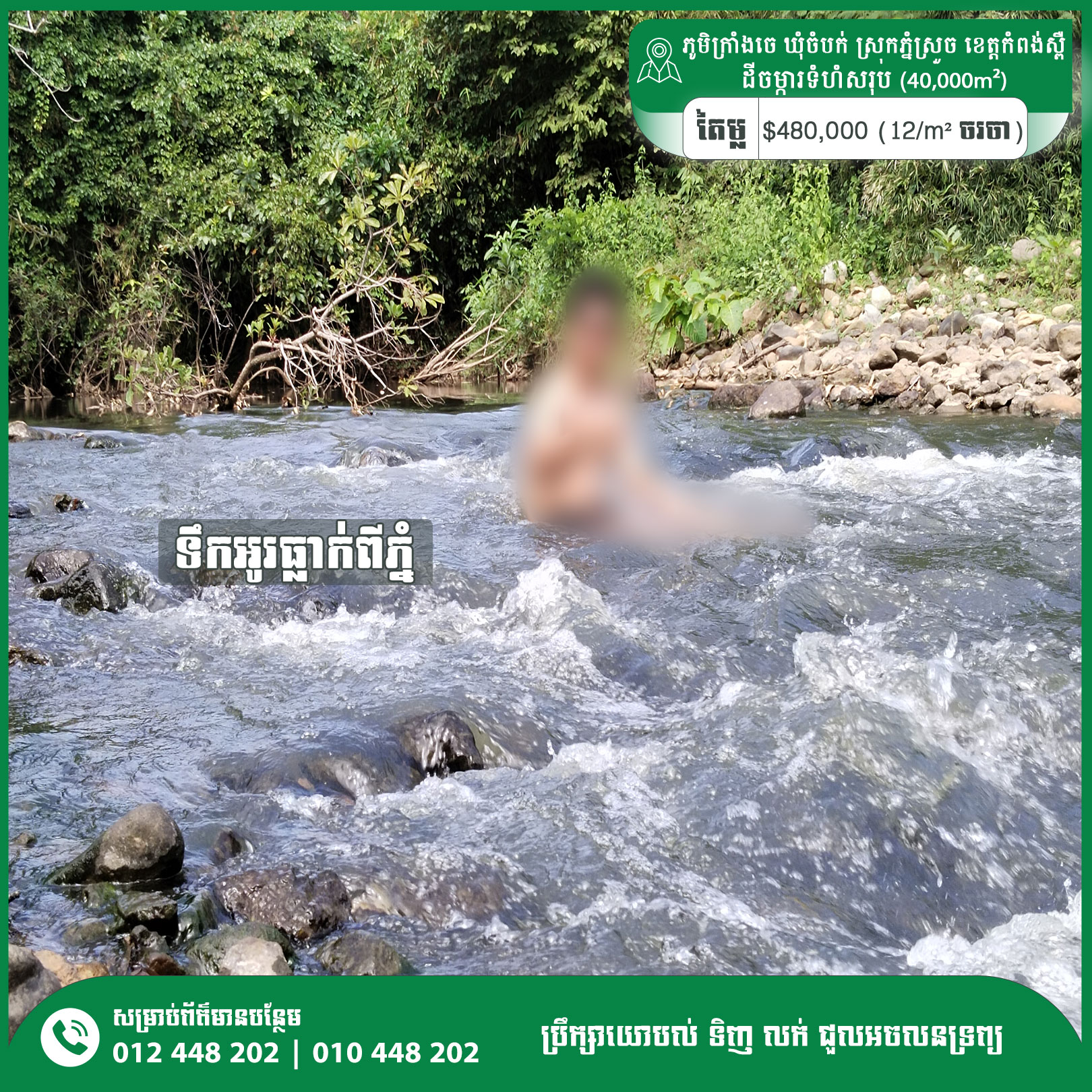 Kampong Speu - Coconut Farm For Sale (4Hecta Land)